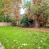 Photo 3: Communal Gardens
