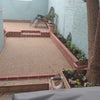 Photo 7: garden