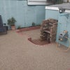 Photo 9: garden and sun deck