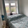 Photo 2: Lots of natural light