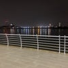 Photo 7: Winter riverside views 