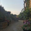Photo 3: Garden or Patio