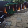 Photo 8: Back Garden 