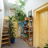 Photo 4: Little "minstrels gallery" complete with jumbo bean bag for pondering with a book below the skylight