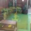 Photo 8: GARDEN PATIO