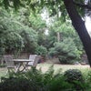 Photo 2: garden 