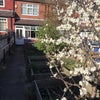 Photo 2: Sunny garden with tree blossom