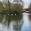 Photo 7: The aquadrome lakes