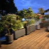 Photo 6: The terrace