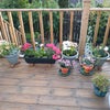 Photo 5: Balcony 