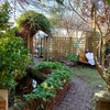 Photo 8: Garden & bookable sauna & ice bath