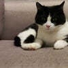 Photo 5: Cat