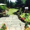 Photo 5: Garden or Patio