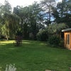 Photo 2: Garden or Patio