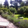 Photo 7: Garden
