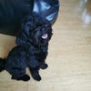 Photo 2: Frankie :) 