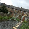 Photo 3: Back garden 