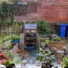 Photo 6: Yard view from the kitchen.