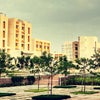 Photograph of Sharanyak 