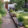 Photo 2: the back garden