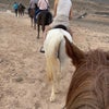 Photo 7: Horse riding in Gran Canaria!