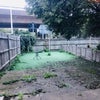 Photo 2: Garden or Patio