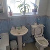 Photo 6: Sparkling clean toilet and sink
