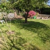 Photo 8: Large garden