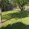 Photo 9: Fruit trees & terrace