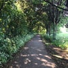 Photo 3: 3 mins walk around the corner!