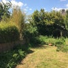 Photo 9: garden with patio area