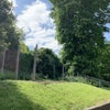 Photo 8: Garden or Patio