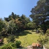 Photo 3: Garden