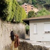 Photograph of Zariya