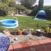 Photo 6: Mediterranean Summer garden