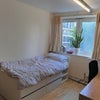 Photo 1: Bedroom