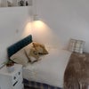 Photo 5: room 2