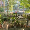Photo 2: The terrace