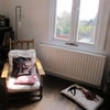 Photo 6: communal space