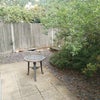 Photo 8: Garden