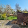Photo 3: Garden