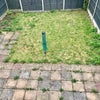 Photo 9: Backyard 