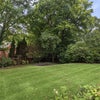 Photo 5: garden