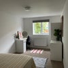 Photo 8: 25 Edward st £525 for a student downstairs back bedroom 