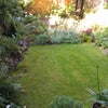 Photo 3: GARDEN