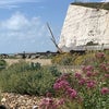 Photo 9: Saltdean beach