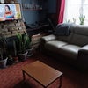 Photo 4: Living Room