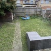 Photo 6: rear garden
