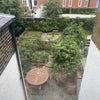Photo 6: Garden or Patio