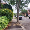 Photo 8: property street 